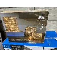 Evergreen LED Candles with Gold Accents (set of 3)