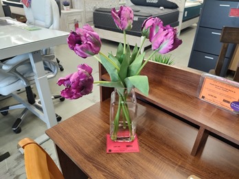 Hot Pink Tulips Floral Arrangement in Clear Glass Vase