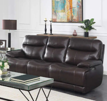 Jason Furniture Ridgewin Dark Brown Leather Dual Power Reclining Sofa (blemished)