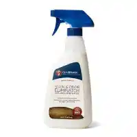 Guardsman Stain & Odor Eliminator for Fabric