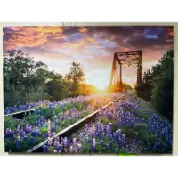 Classy Art Train Trestle with Blue Bonnets Wall Art